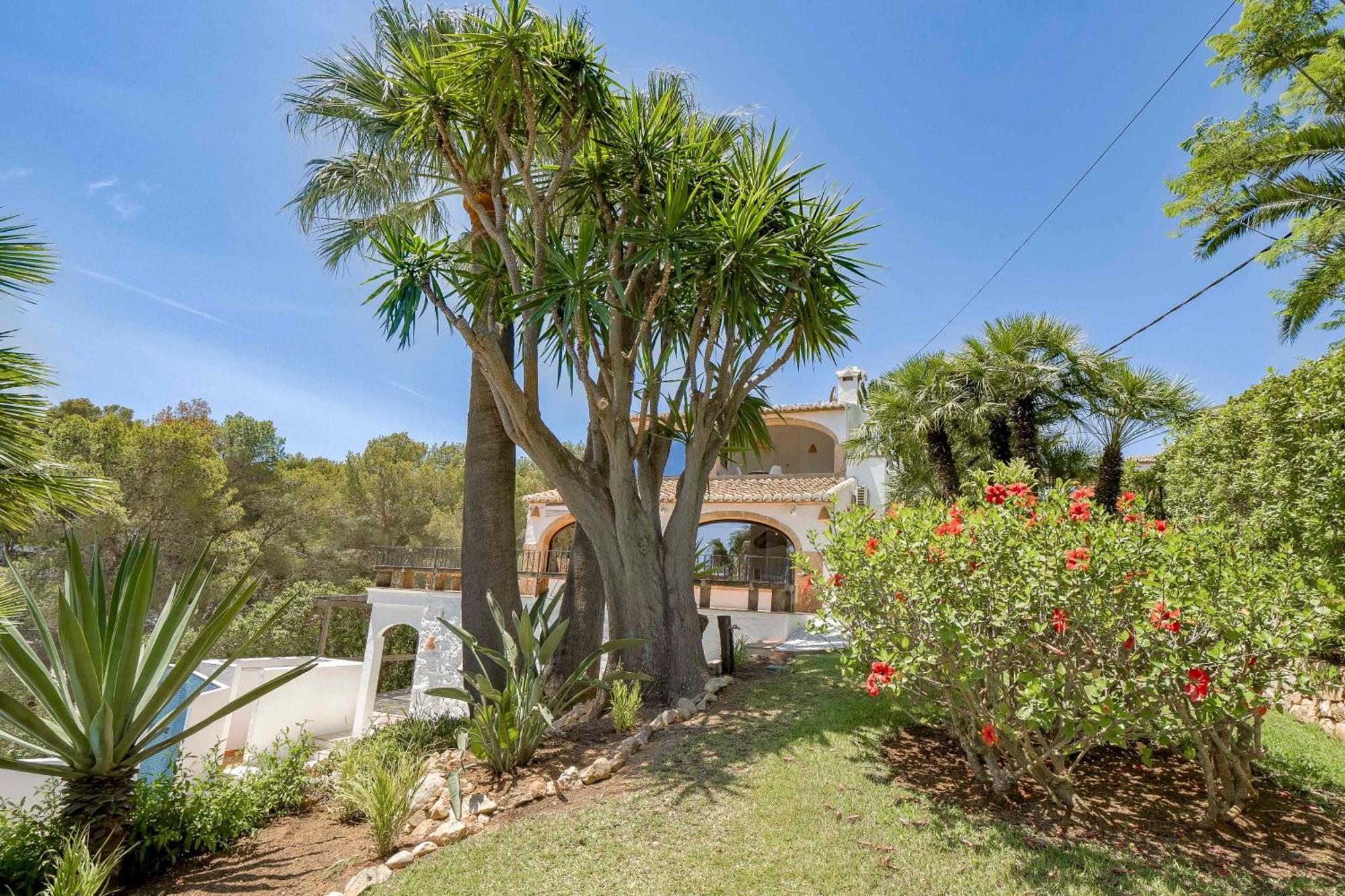 Villa Tosalet Pomelo Jávea エクステリア 写真