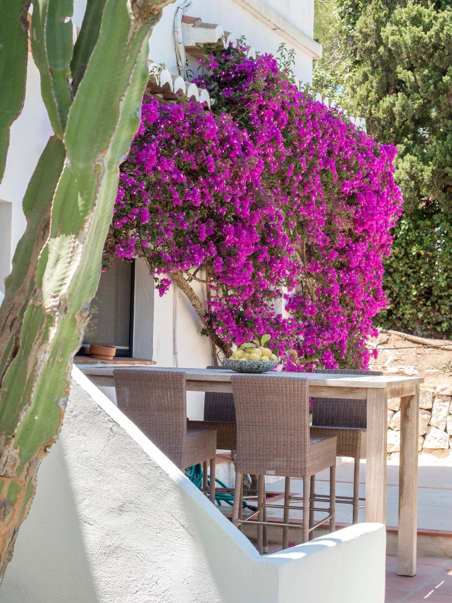 Villa Tosalet Pomelo Jávea エクステリア 写真